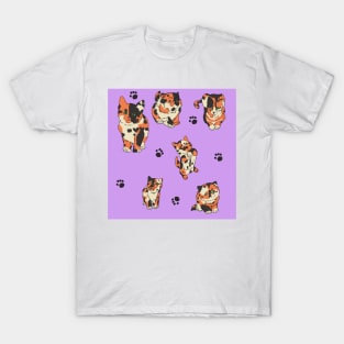 Purple Calico Kittens T-Shirt